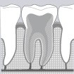 L'endodontie